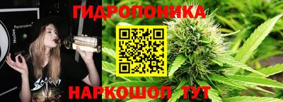прущий лед Кингисепп