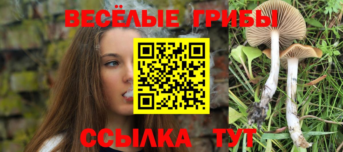 Псилоцибиновые грибы Magic Shrooms  Вход с VPN  Псилоцибиновые грибы Cubensis  Костомукша 