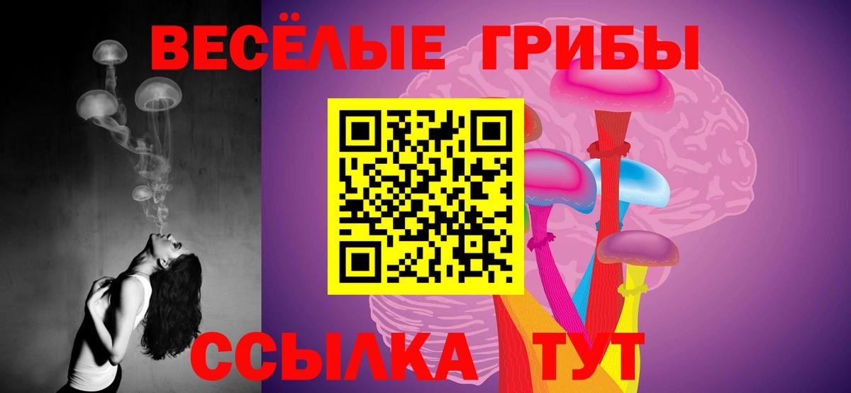 Псилоцибиновые грибы Psilocybine cubensis Костомукша