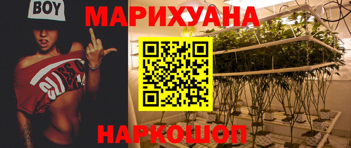 Марихуана конопля Костомукша